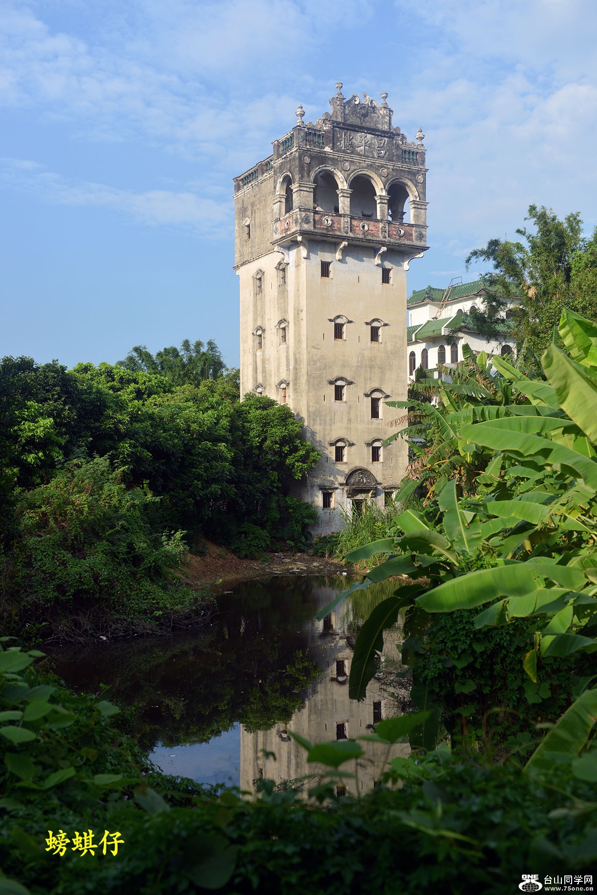 DSC_199466.jpg