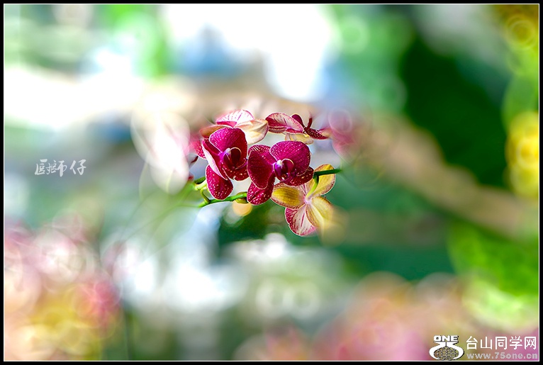 _DSC9507.jpg