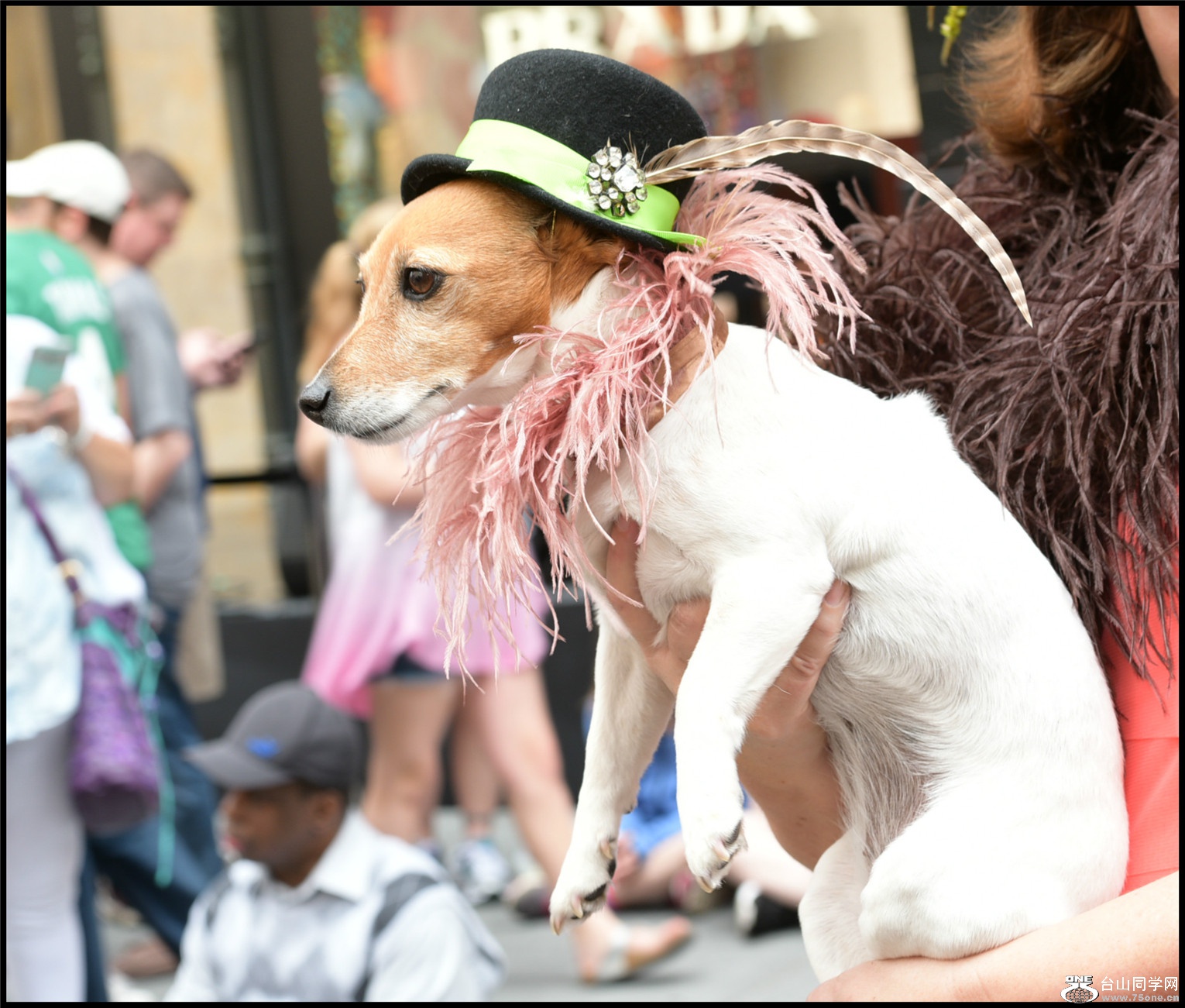 DSC_8126.JPG