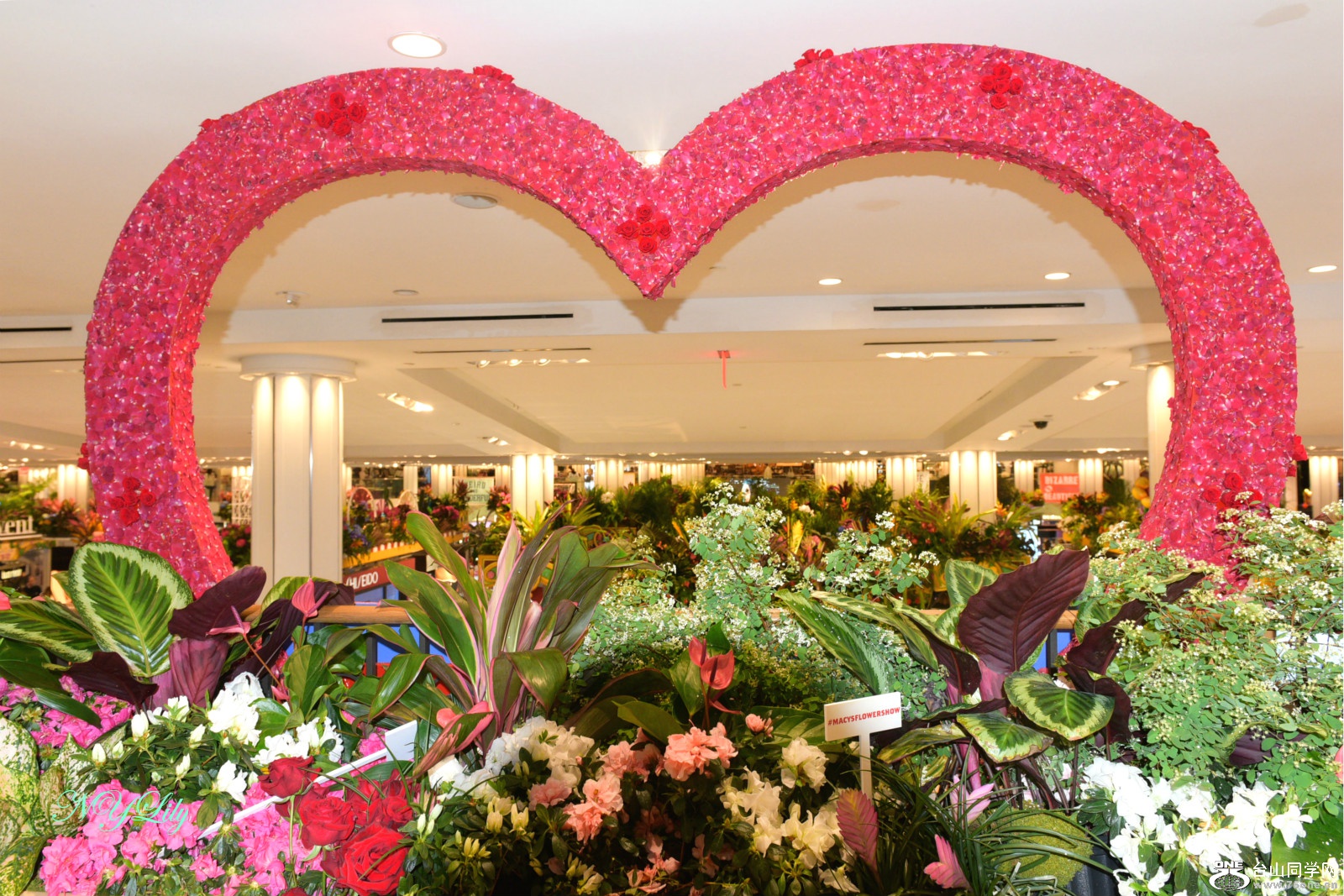 DSC_6534_meitu_3.jpg