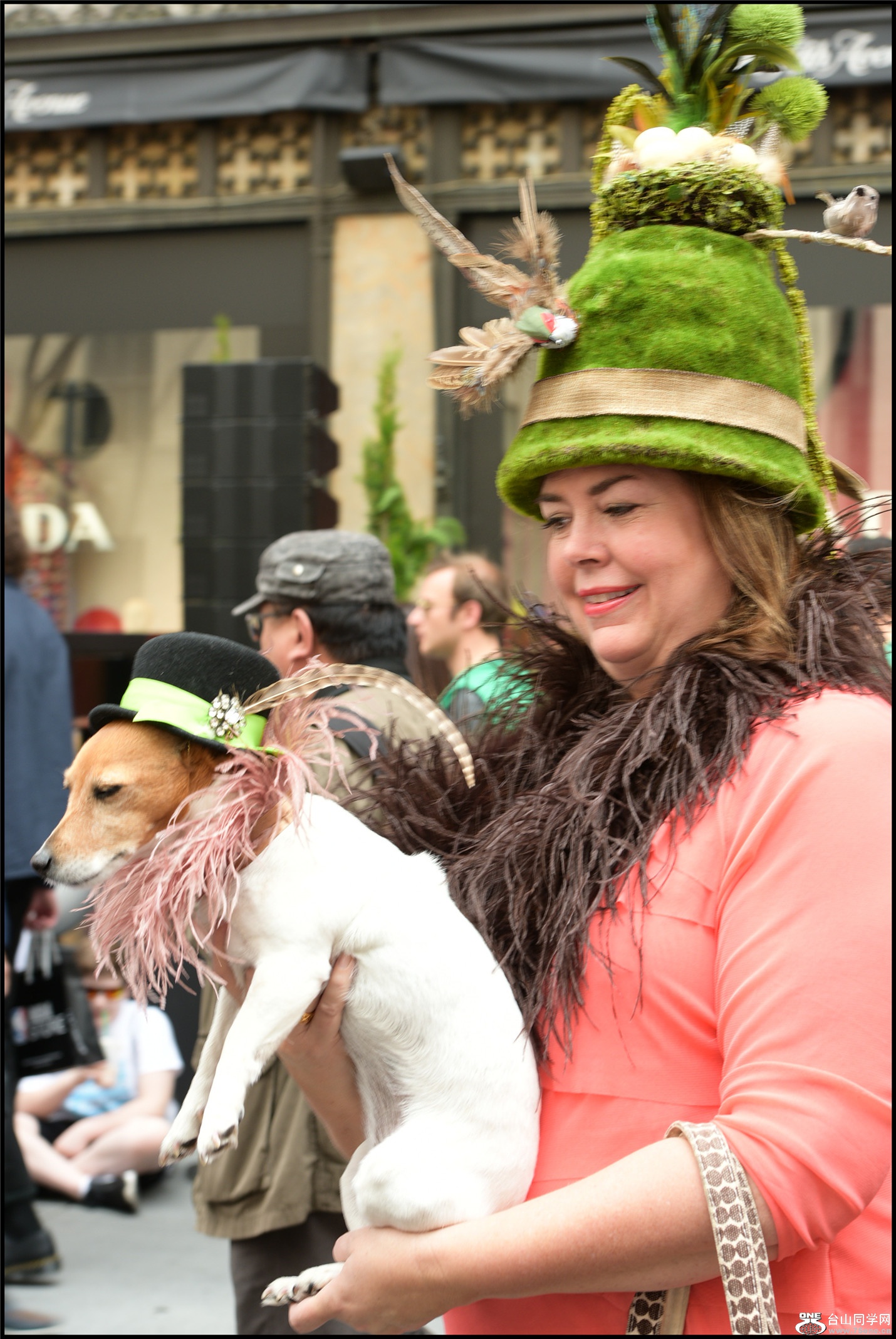 DSC_8124.jpg