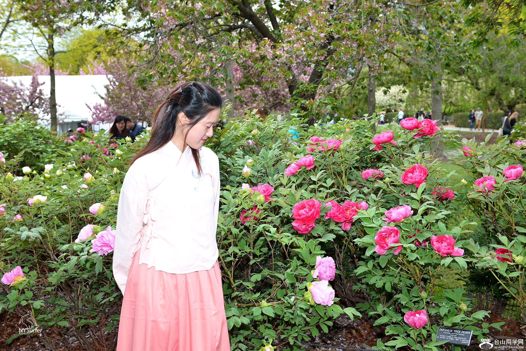 DSC_71476.jpg