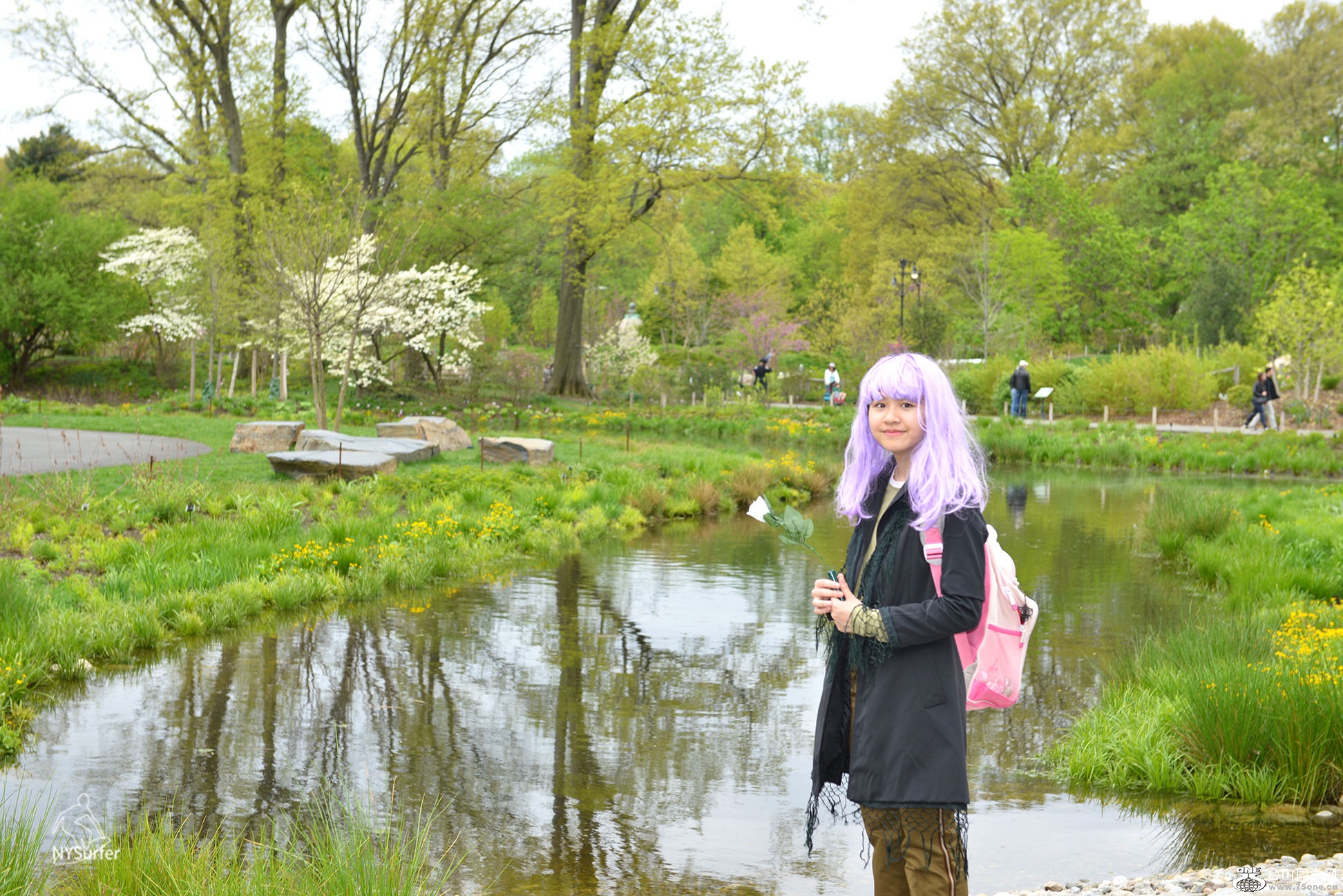 DSC_71402.jpg