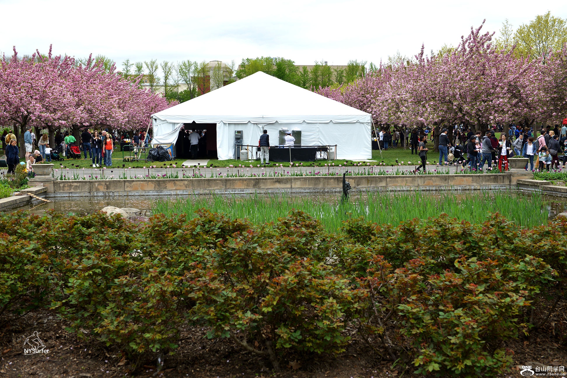 DSC_71336.jpg