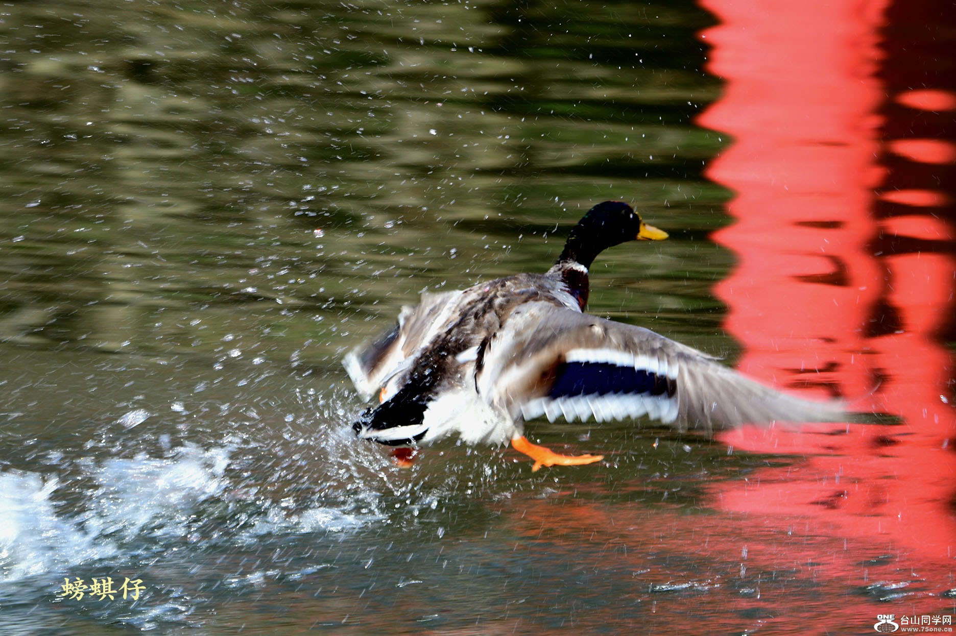 DSC_00123702.jpg