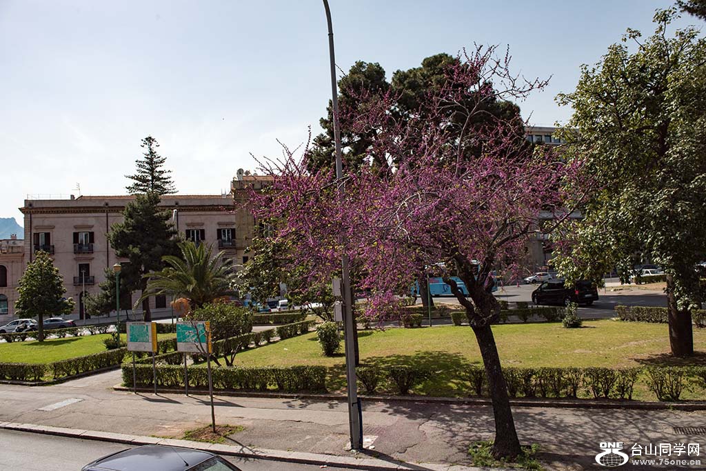 720.jpg