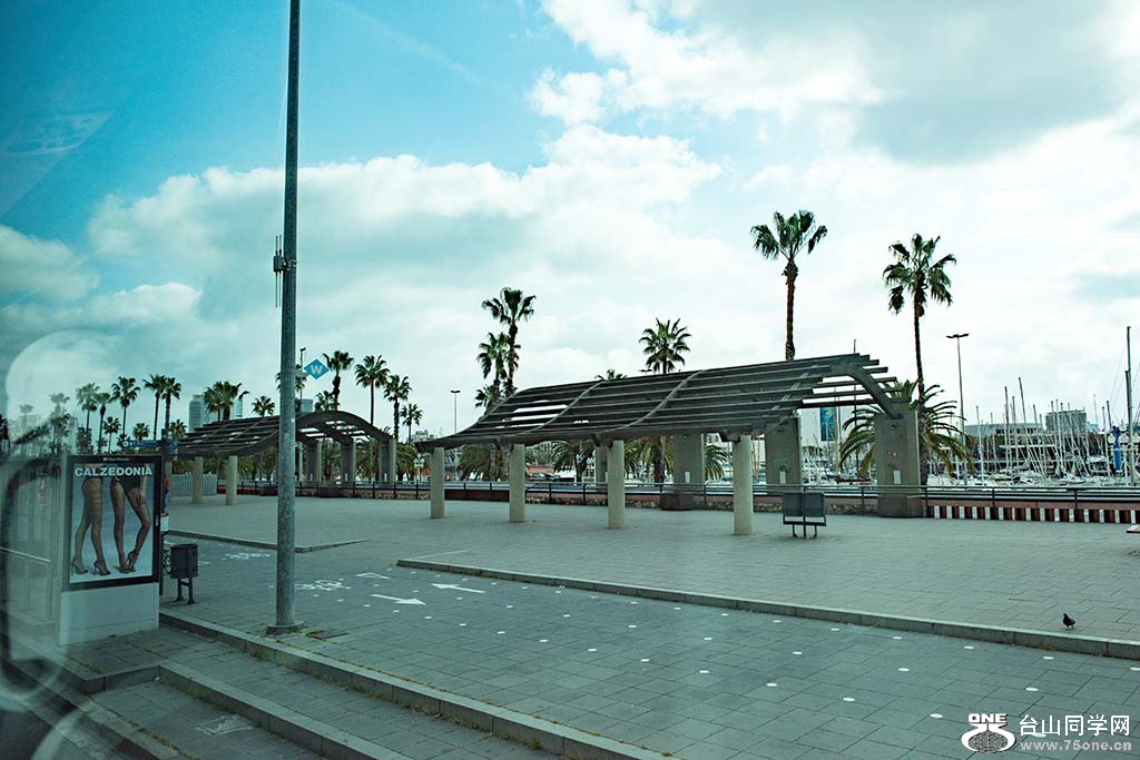 145.jpg