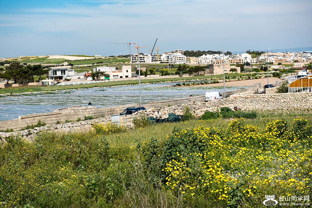 561.jpg