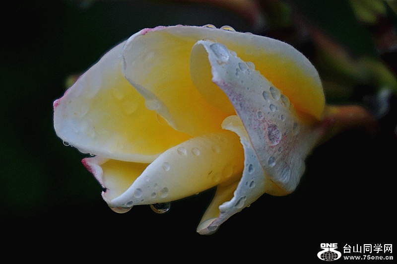 DSC04294.JPG