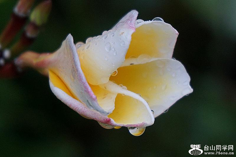 DSC04268.JPG
