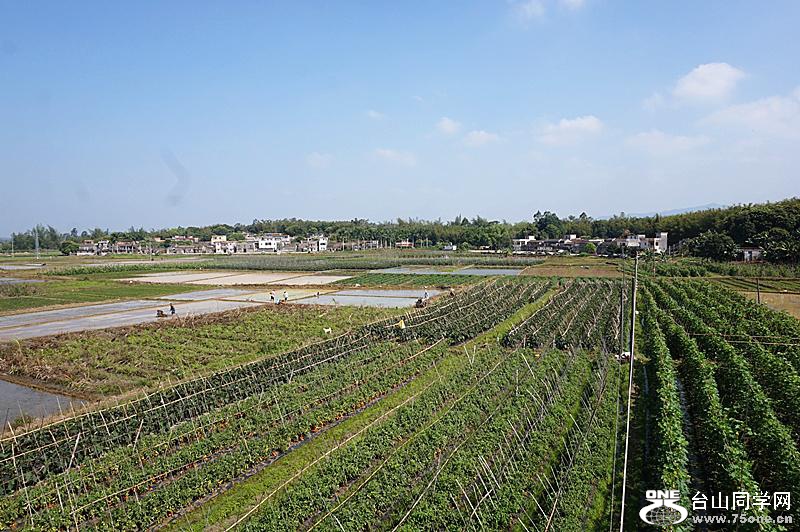 DSC03033.JPG
