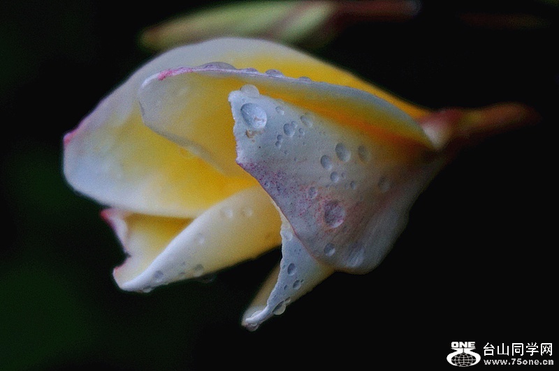 DSC04284.JPG
