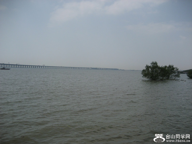 2017 050_.jpg