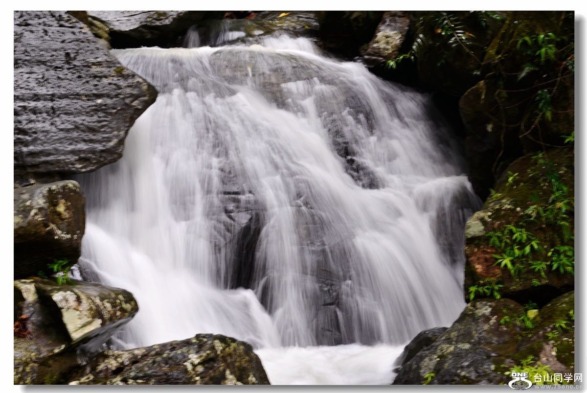 DSC_7396_.jpg
