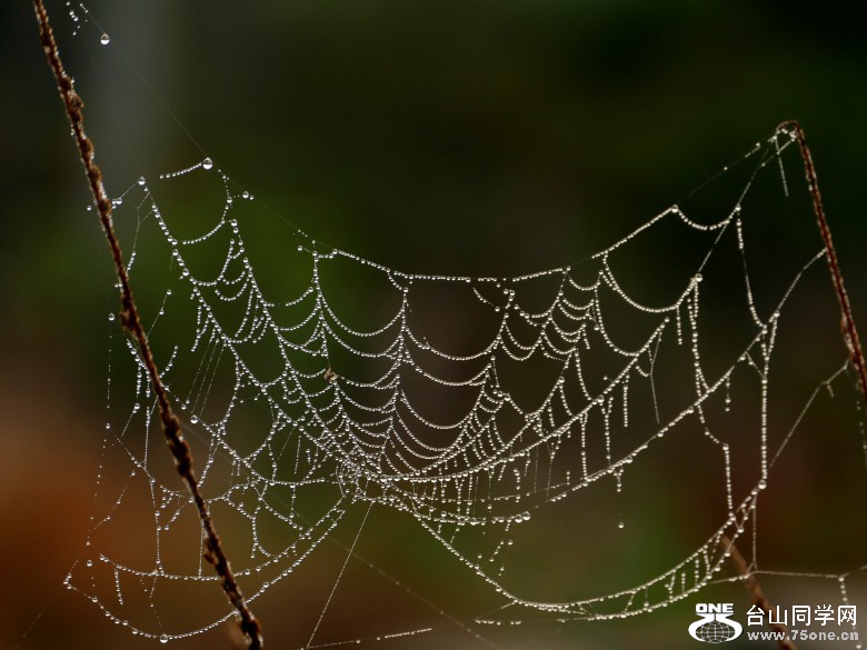 l2960079_conew1.jpg