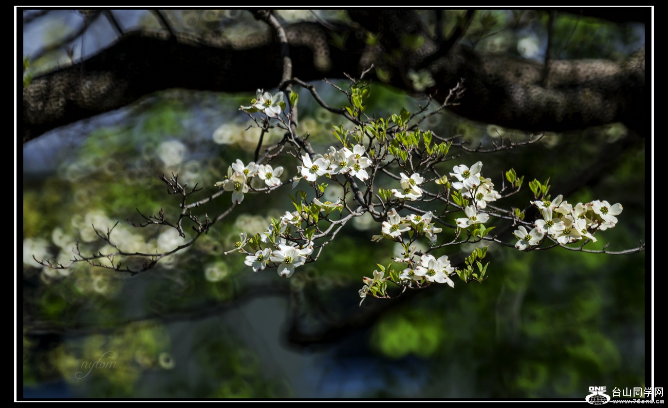 DSC_8035_.jpg
