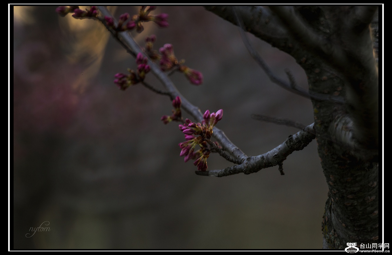 DSC_5128_.jpg
