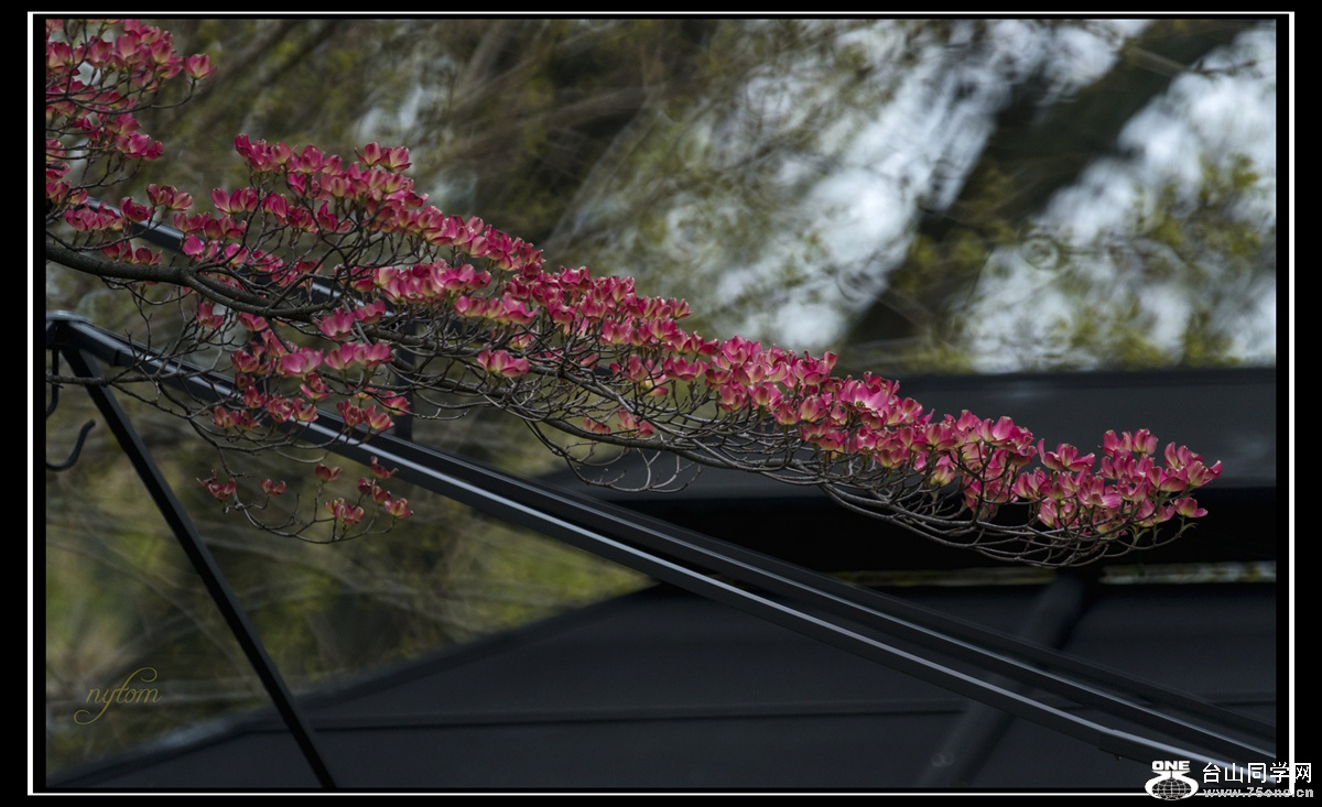 DSC_7658_.jpg