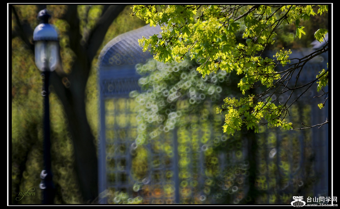 DSC_7954_.jpg
