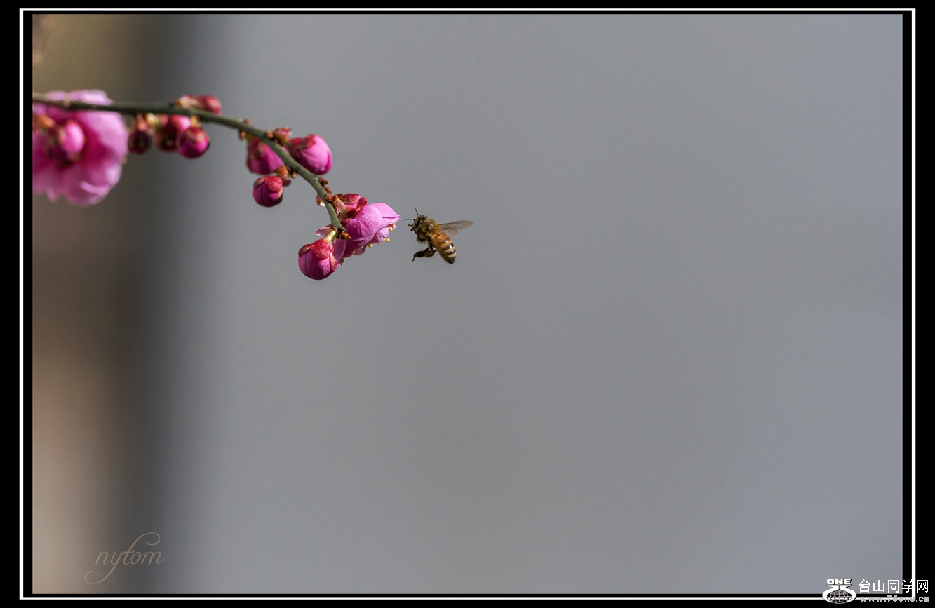 DSC_3624_.jpg