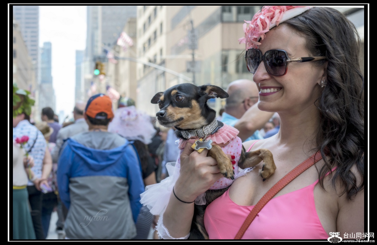 DSC_0352_.jpg