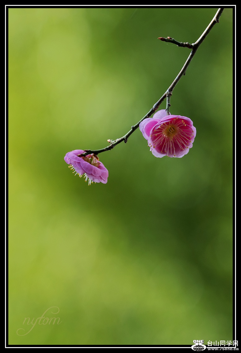 DSC_3680_.jpg
