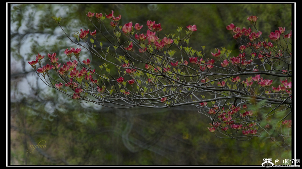 DSC_7655_.jpg