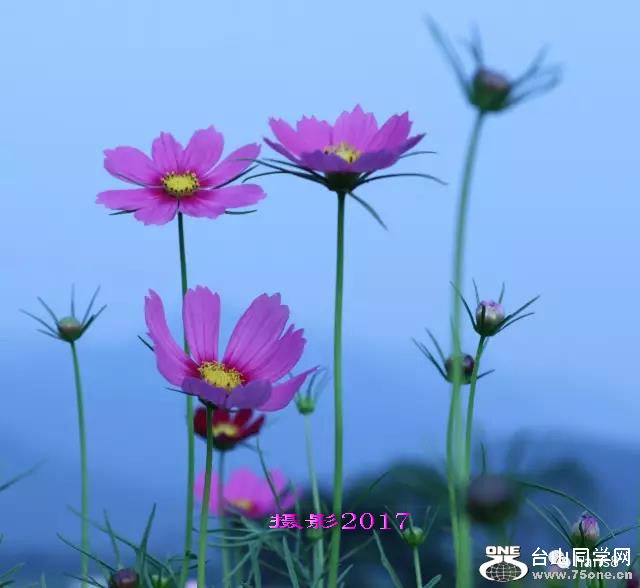 ΢ͼƬ_20170528220920.jpg