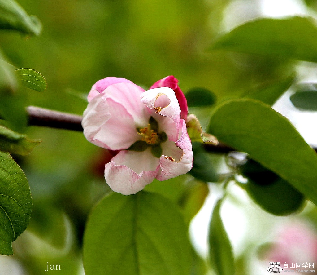 IMG_4573_副本.jpg