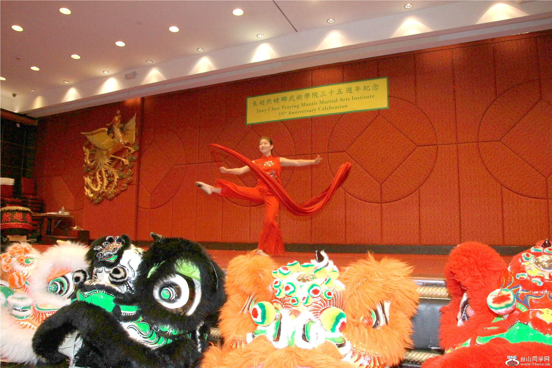 IMGL2720.jpg