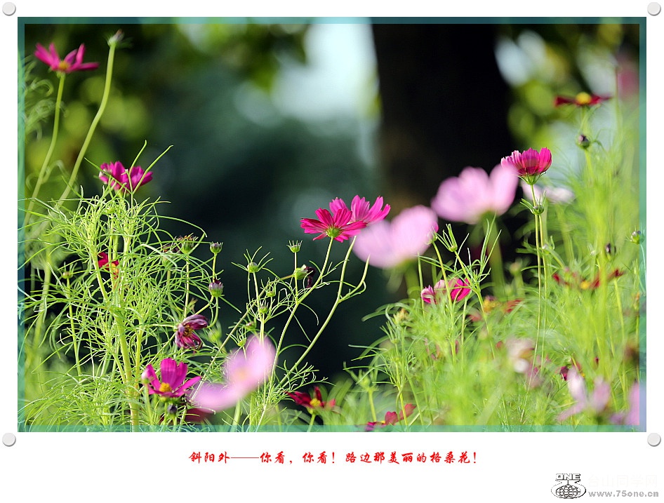 DPP_2017.5.290186_.jpg
