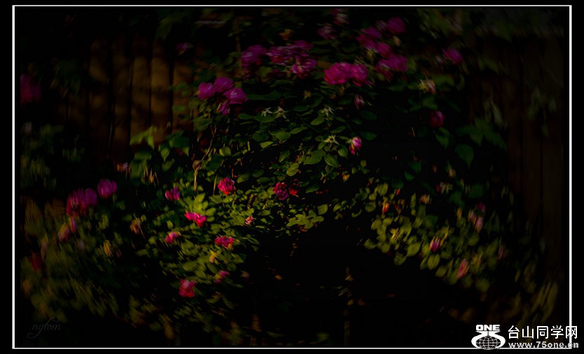 DSC_0108_.jpg