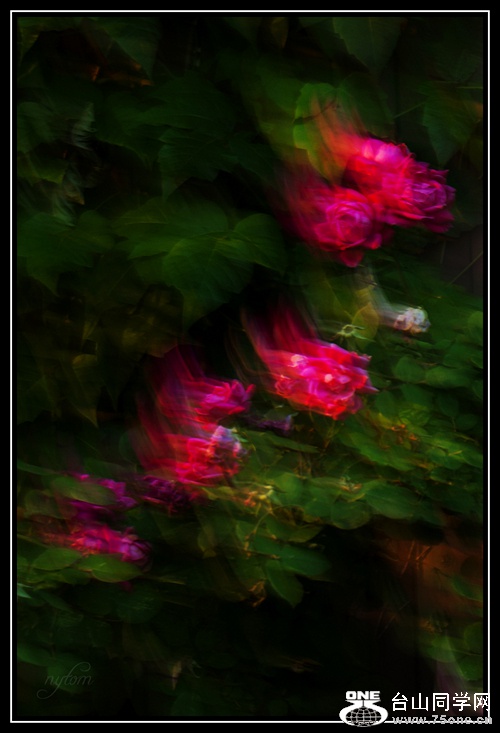 DSC_0163,_.jpg