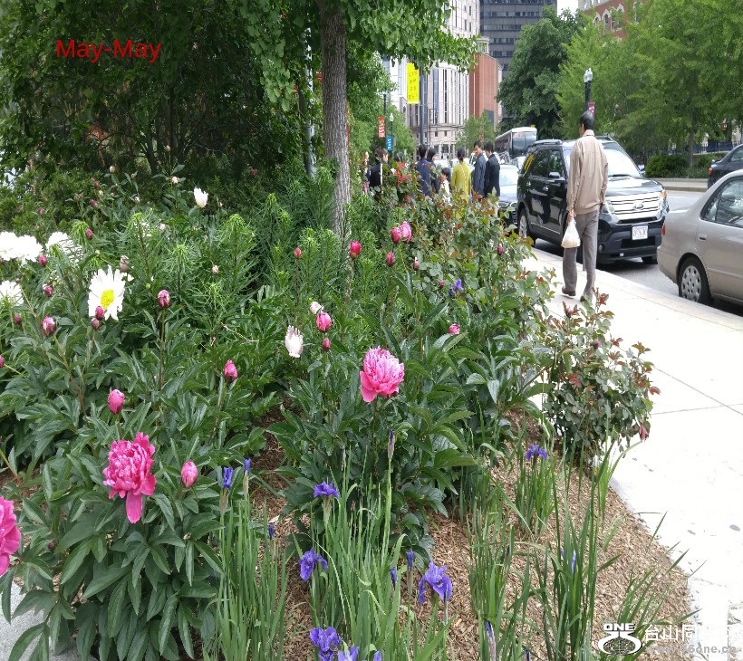 20170528_131958 (1).jpg