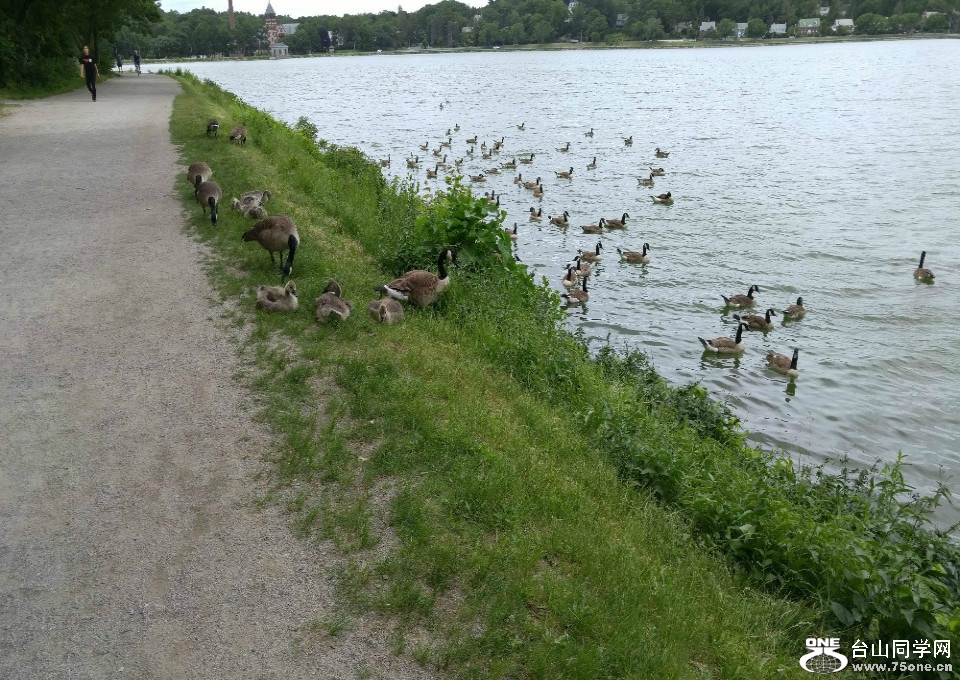 20170616_112344 (1).jpg