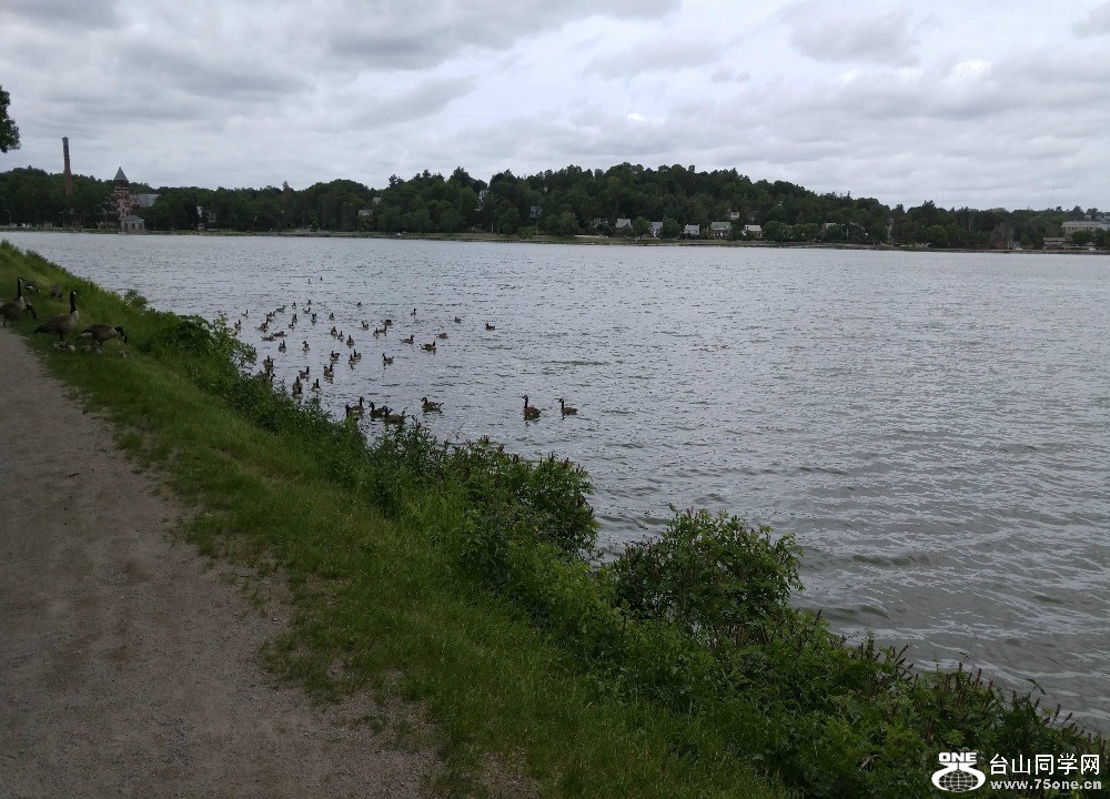 20170616_112326 (1).jpg