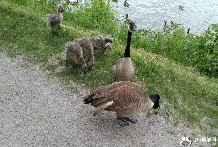 20170616_112425 (1).jpg