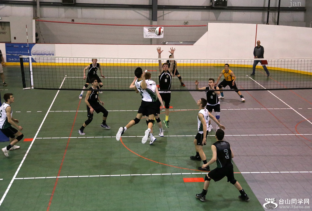 IMG_4184_.jpg