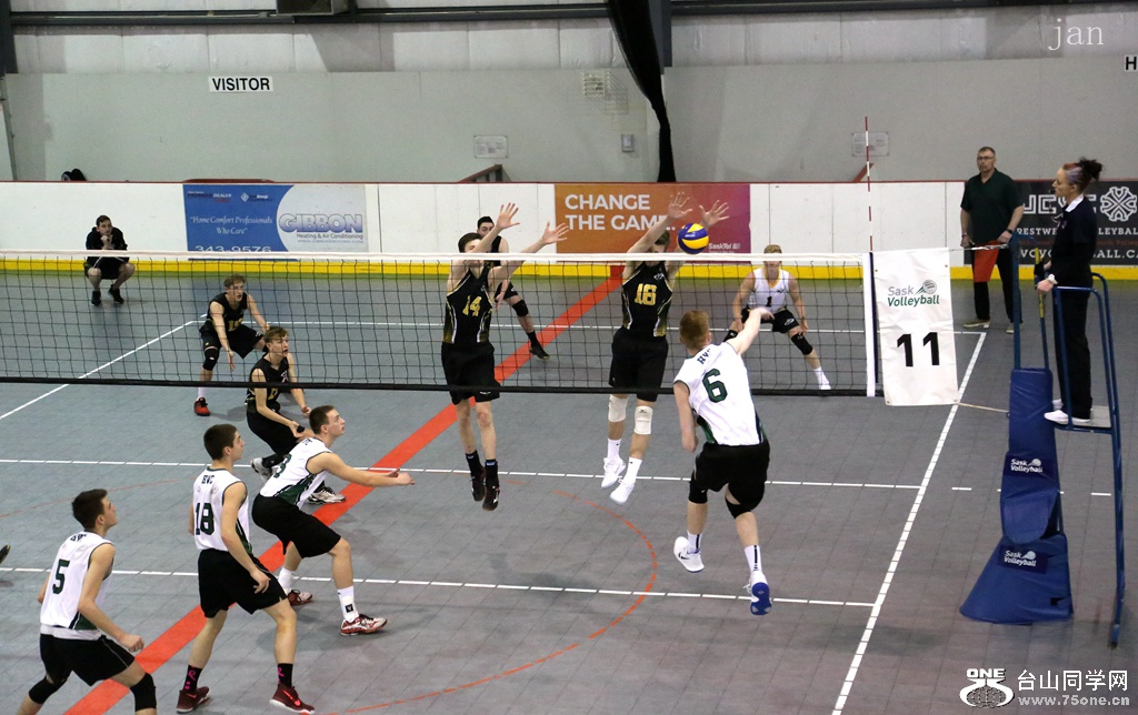 IMG_3542_.jpg