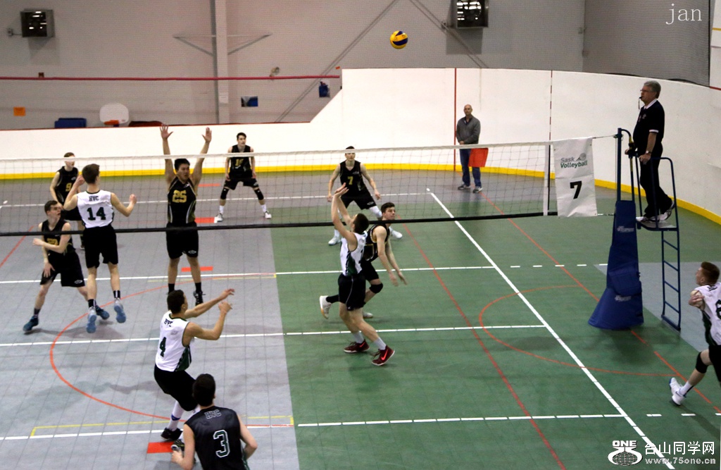 IMG_3389_.jpg