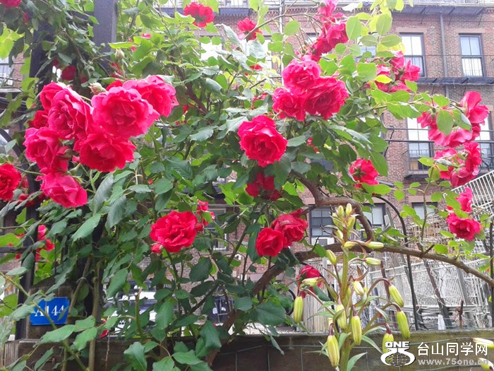 20170617_143339_.jpg