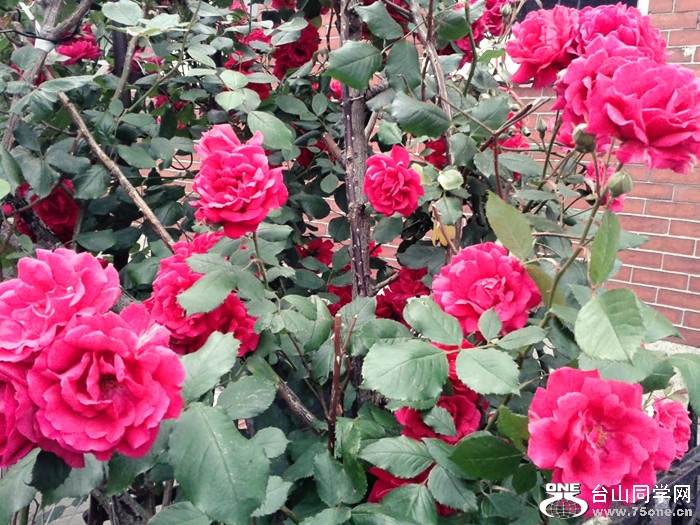 20170616_151304_.jpg