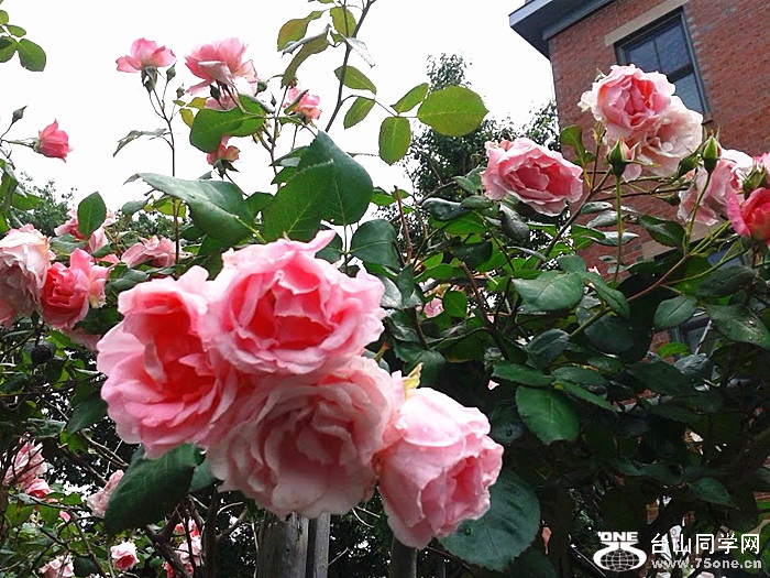 20170617_140211_.jpg