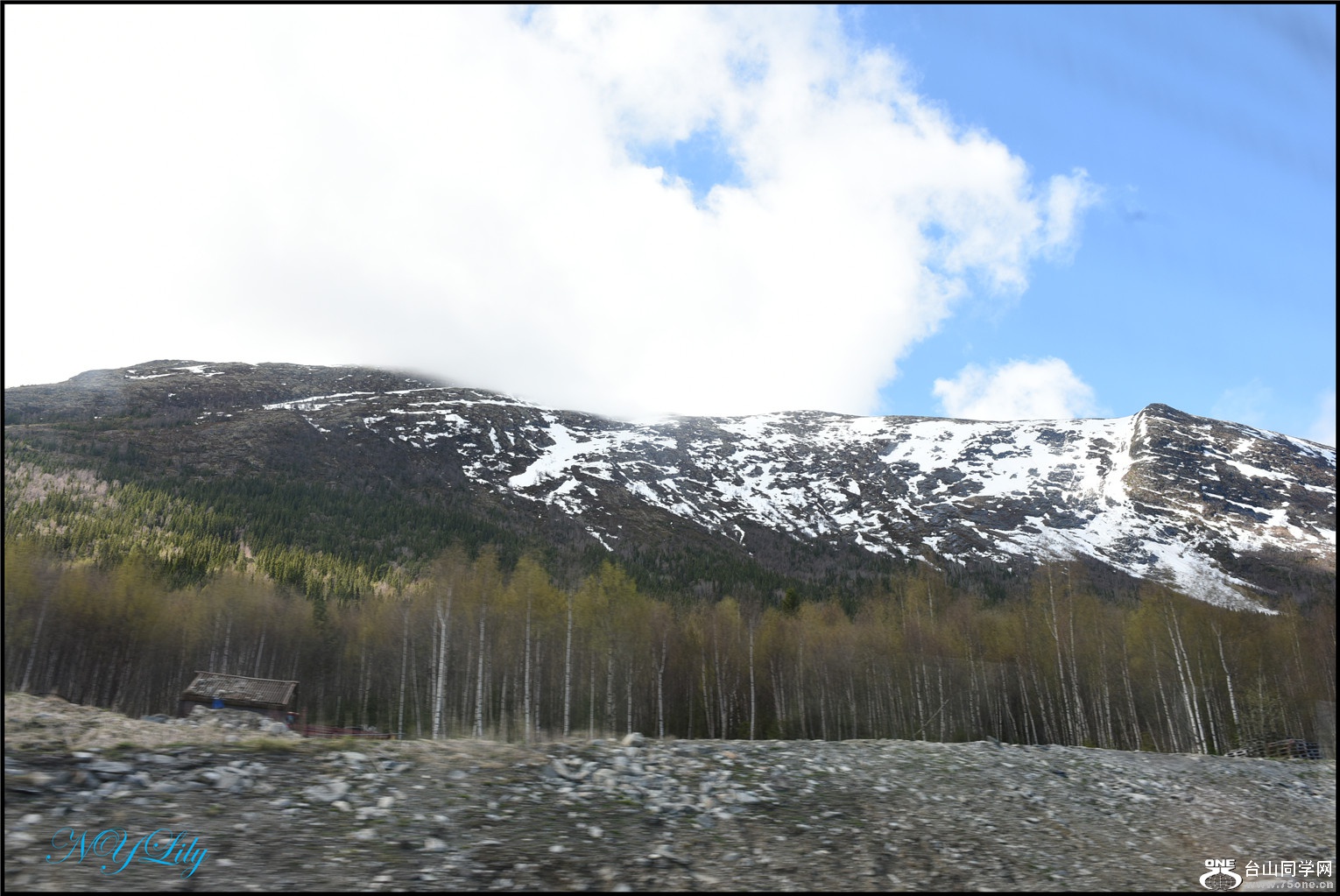 DSC_2528.jpg