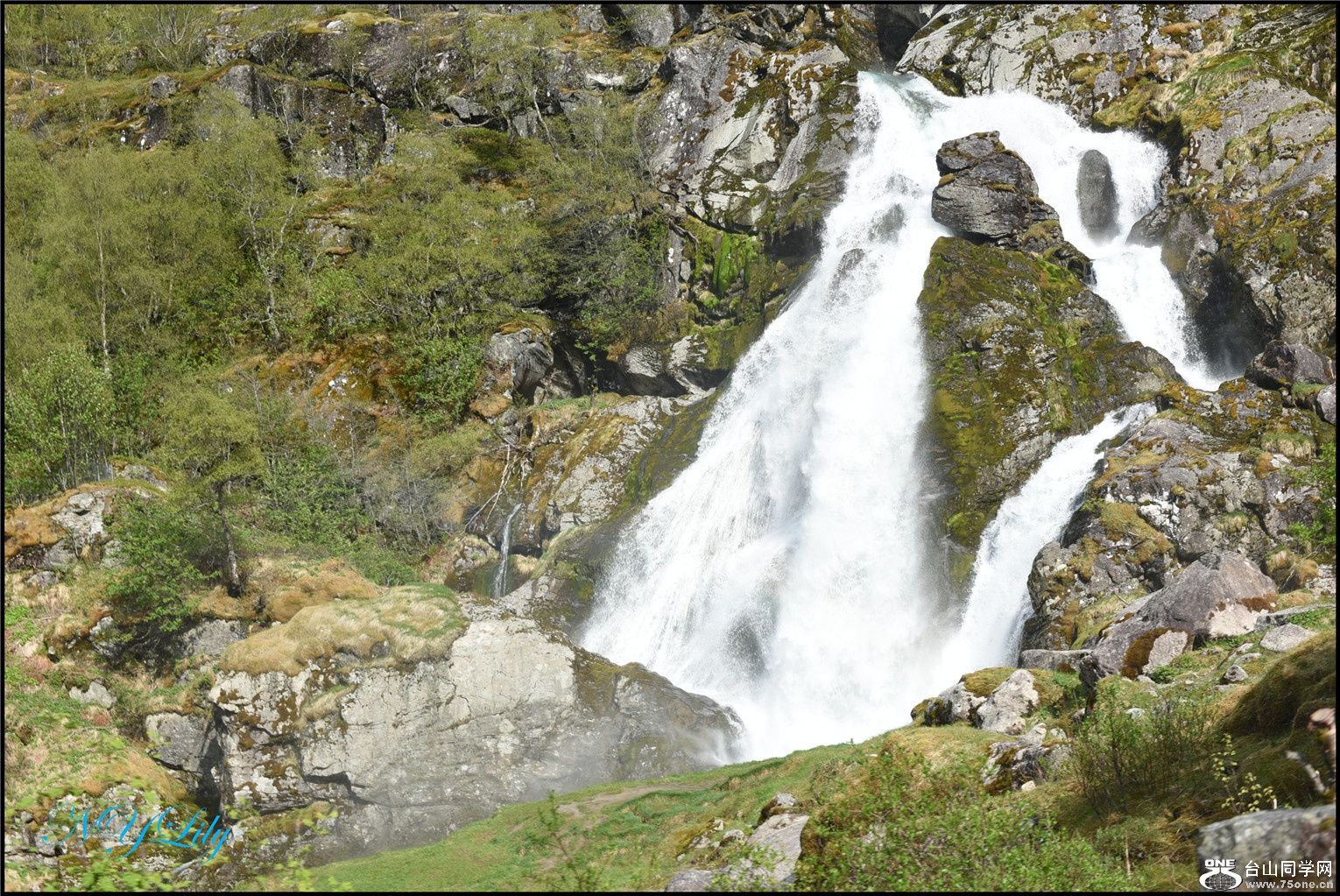 DSC_2780.jpg