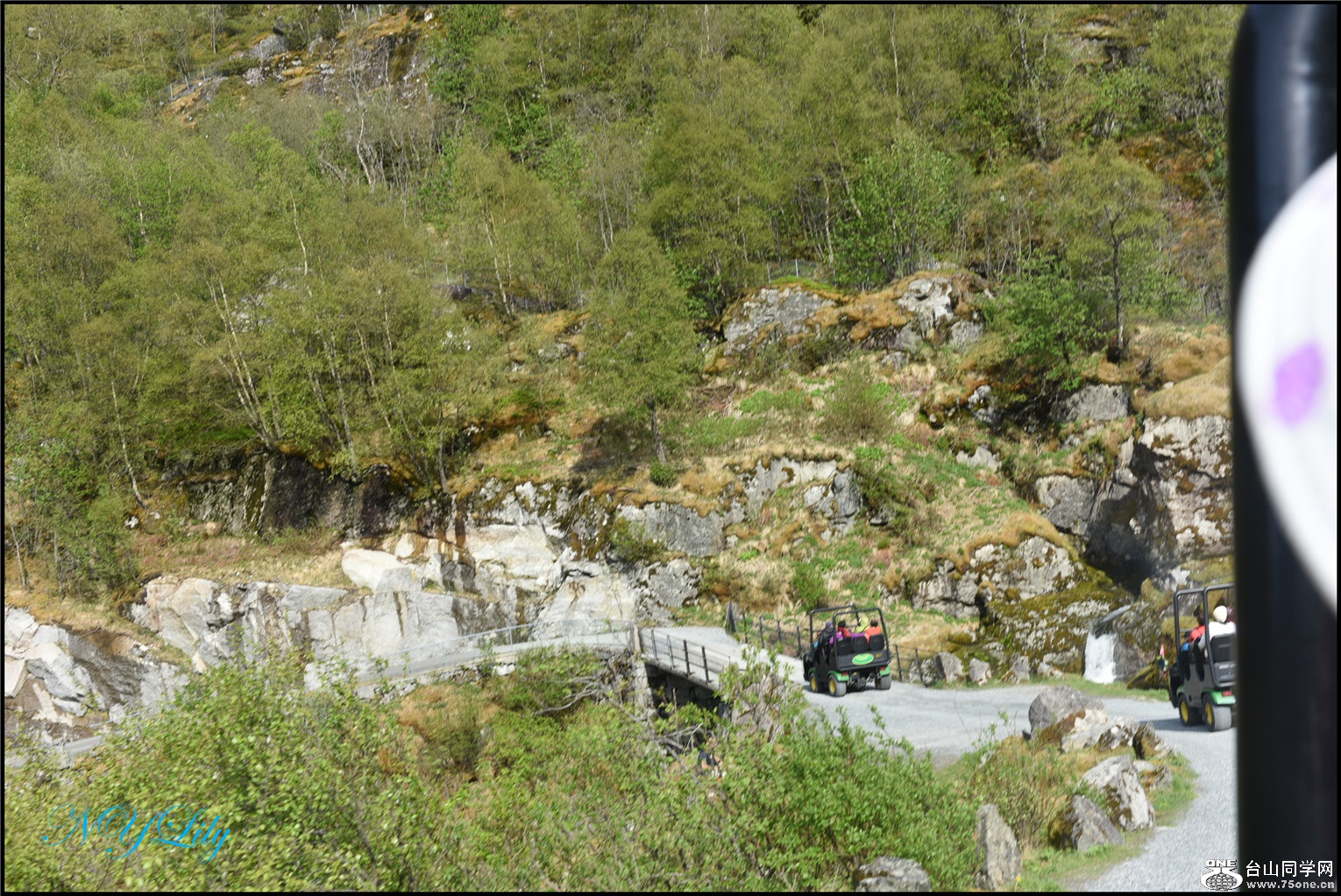 DSC_2782.jpg