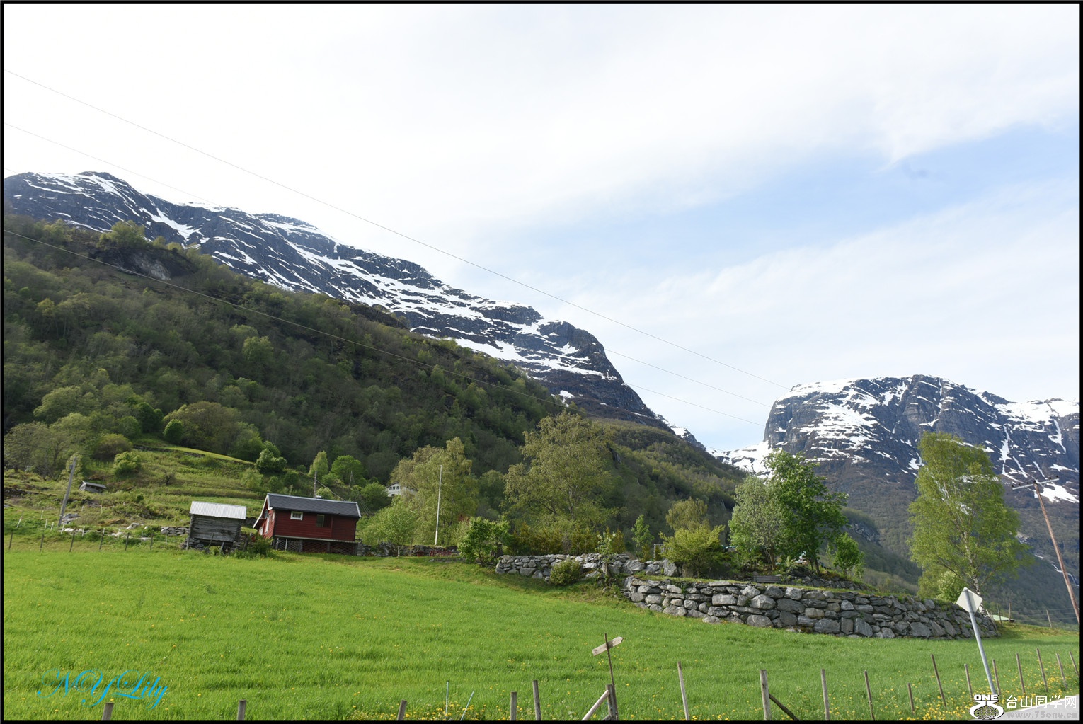DSC_2833.jpg