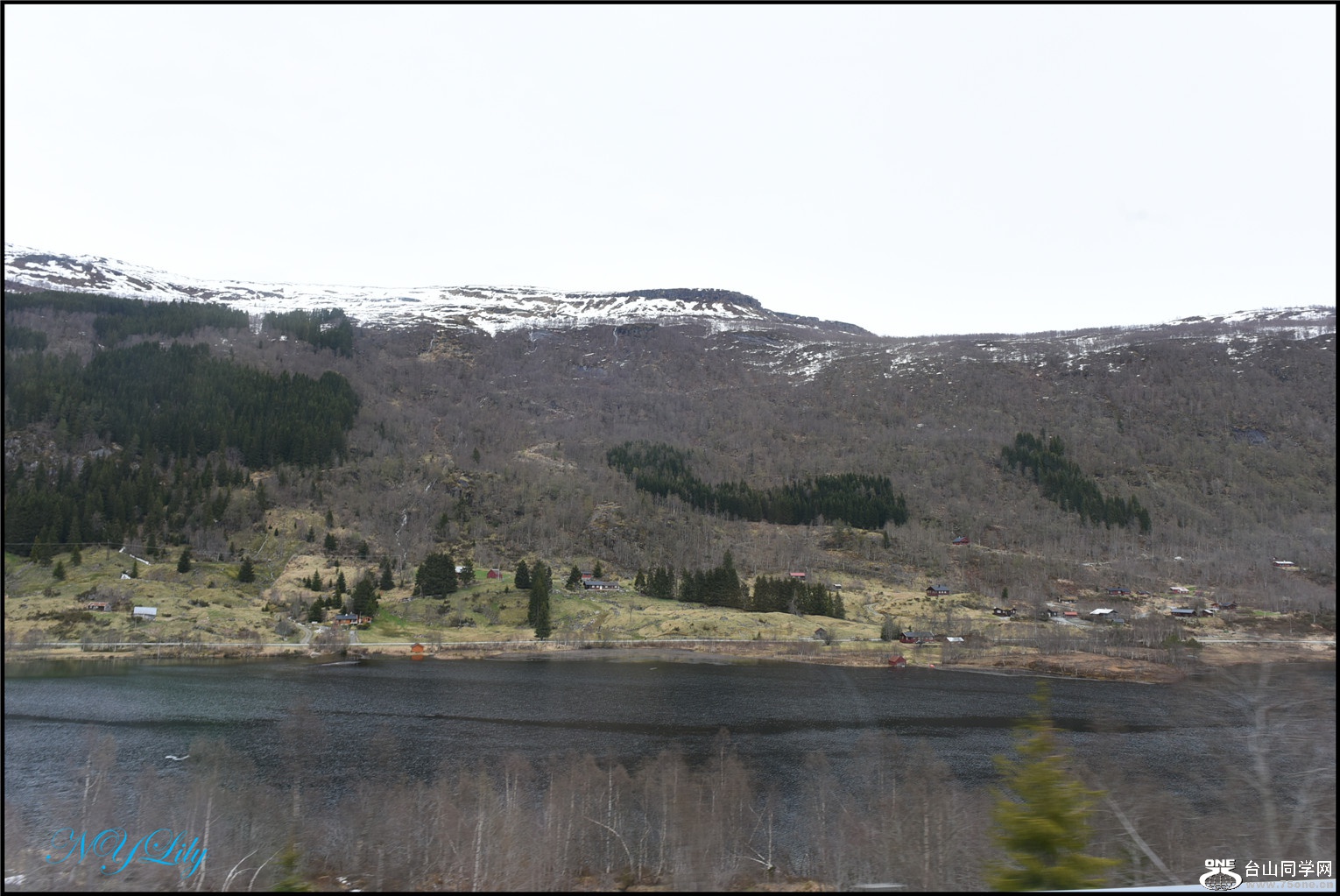DSC_2881.jpg
