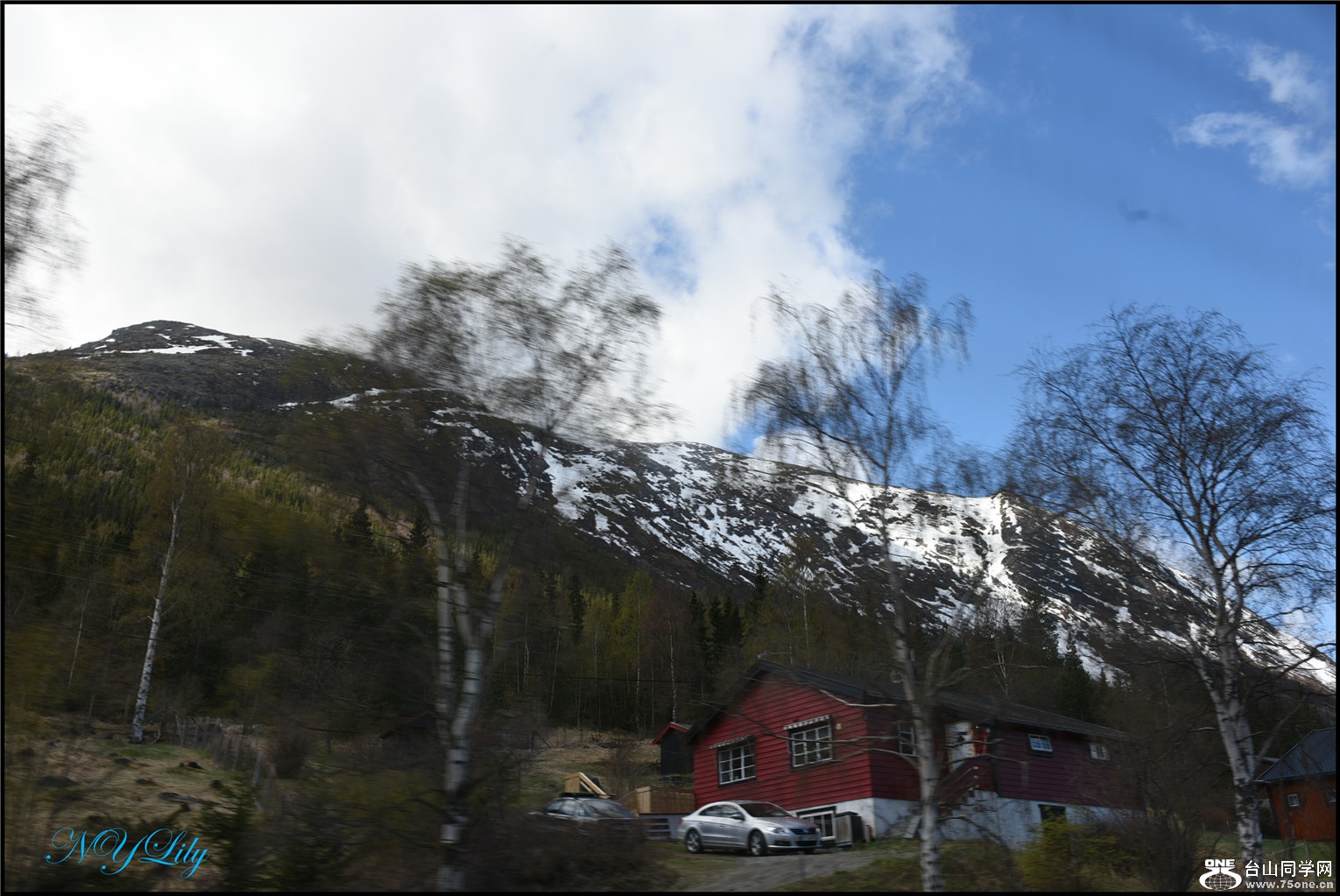 DSC_2525.jpg