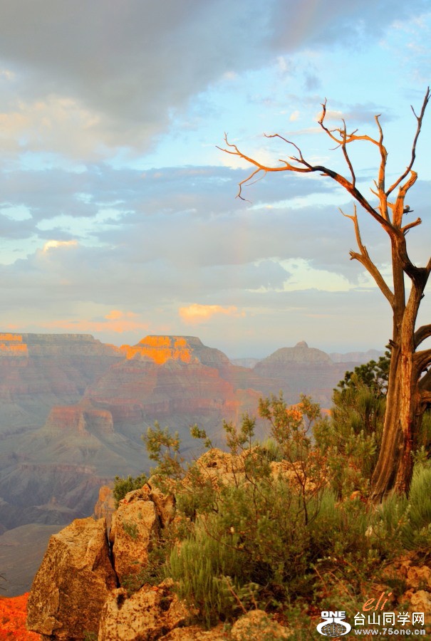 2015-07-16-191 (2).JPG